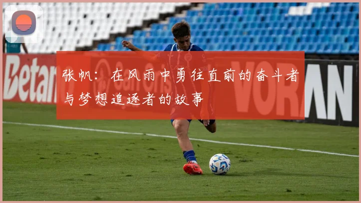 张帆：在风雨中勇往直前的奋斗者与梦想追逐者的故事