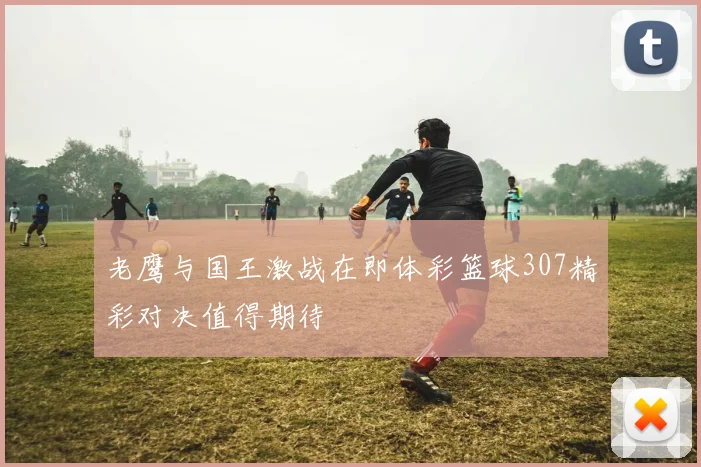 老鹰与国王激战在即体彩篮球307精彩对决值得期待